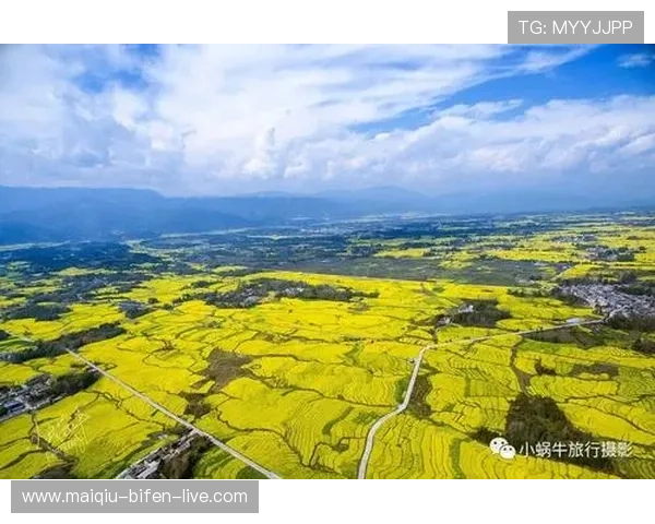 开云体育分析功能好用吗 彩票数字高频玩法防骗避坑 开云体育分析功能好用吗 彩票数字高频玩法防骗避坑